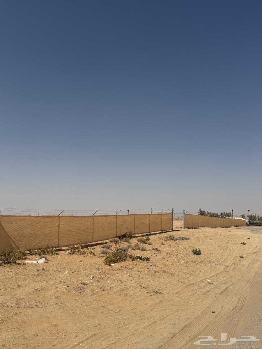 شبوك رواقات مخيمات64216702950274113