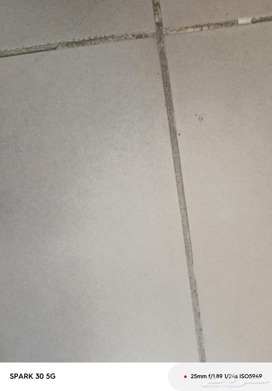 مبلط باكستاني64213059256835110