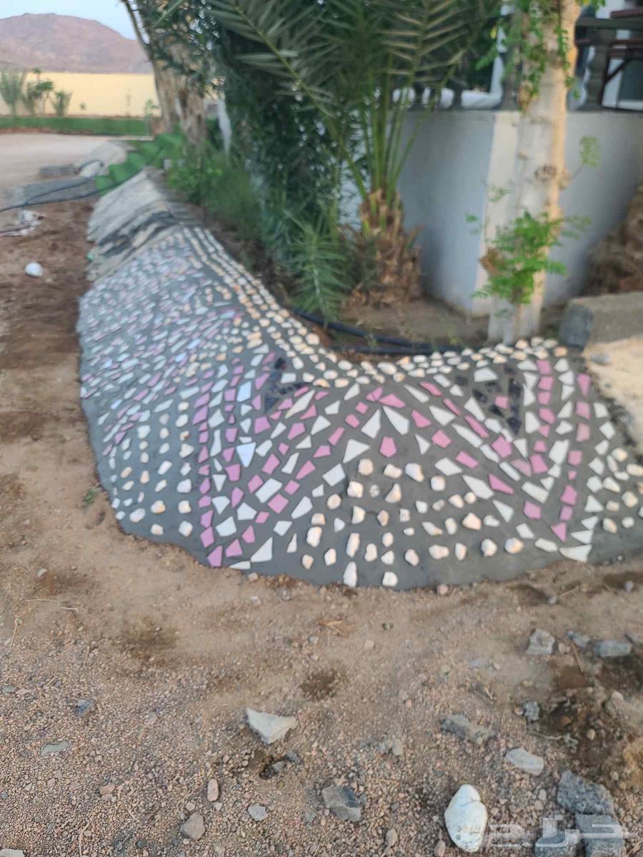 تزيين أحواض ورش وتقليم64212867284354110