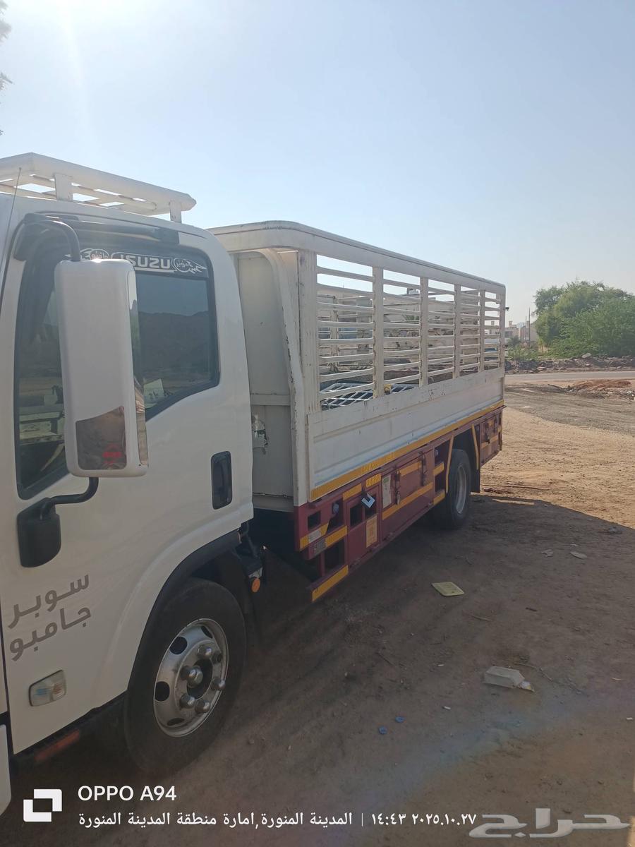 دينه طالعه من جده الى الرياض 5متر64224905019649110