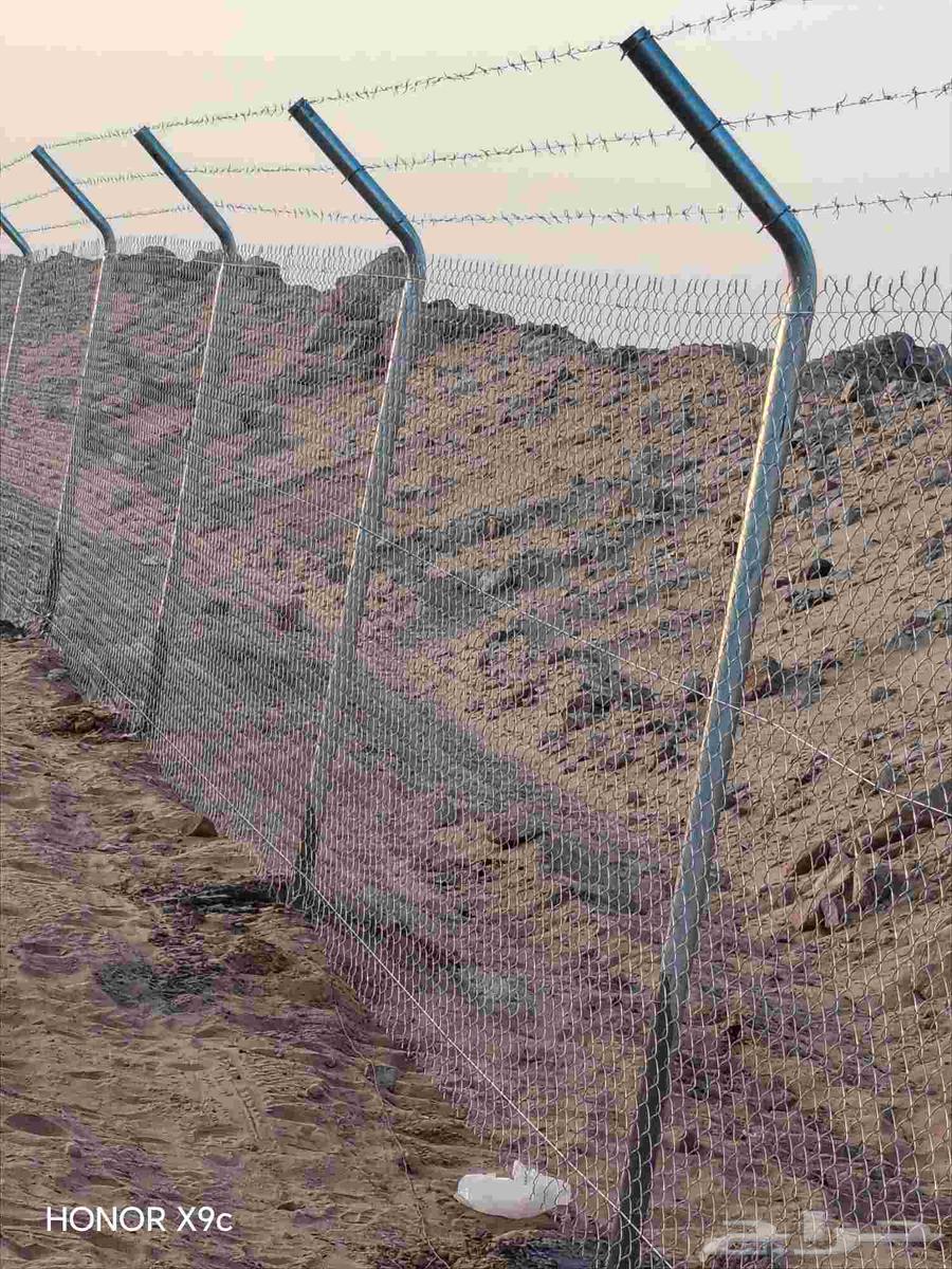 لتوريد وتركيب الشبوك وتوريدالنخيل التواصل64214348025603112