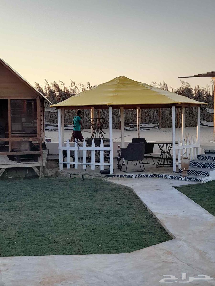 غطيان خيام وبيوت شعر وروقاتمخيمات64213695819777111