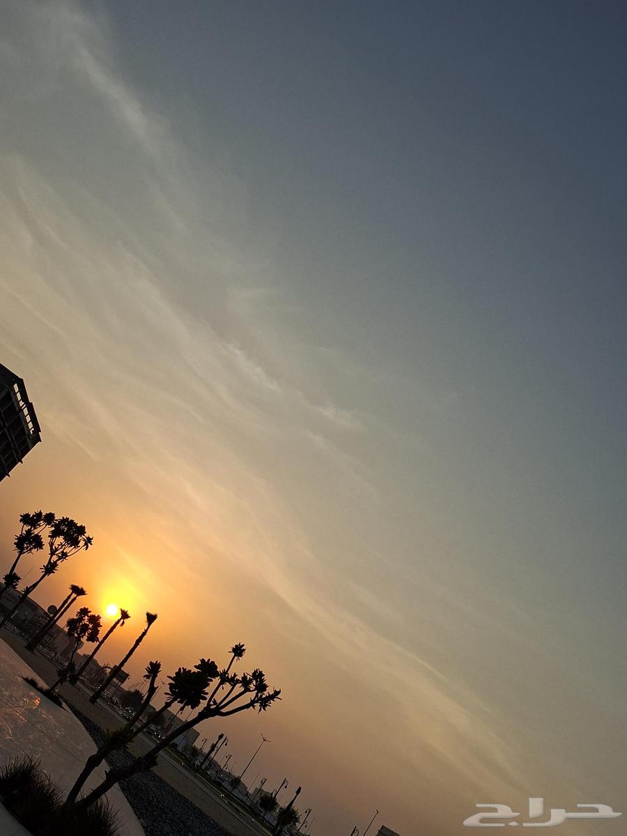 I want an apartment for transfer64204571066242110