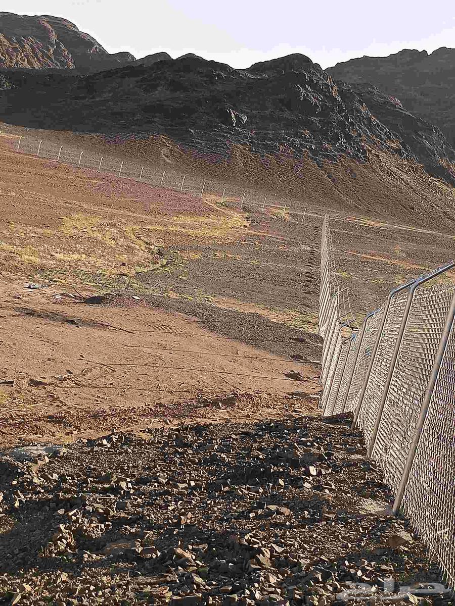 توريد وتركيب اشبوك العايدي ولمجلفن وسياج الامنيه64213482849539111