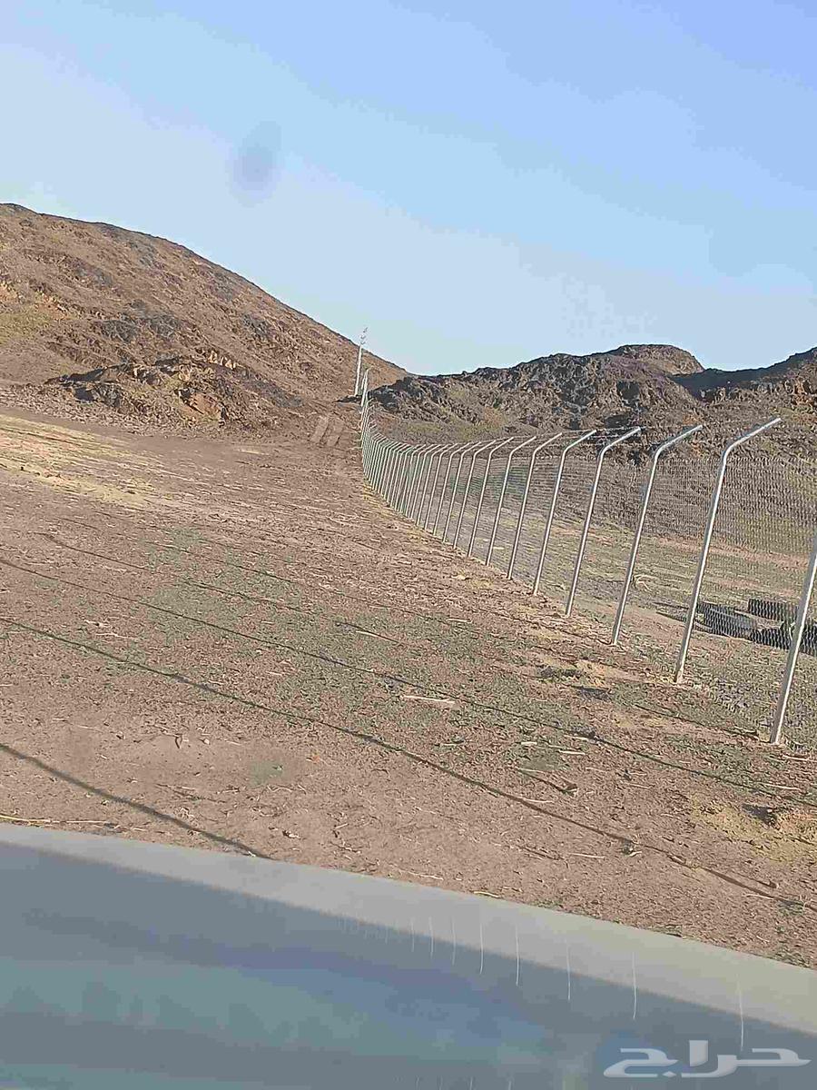 توريد وتركيب اشبوك العايدي ولمجلفن وسياج الامنيه64213482849539110