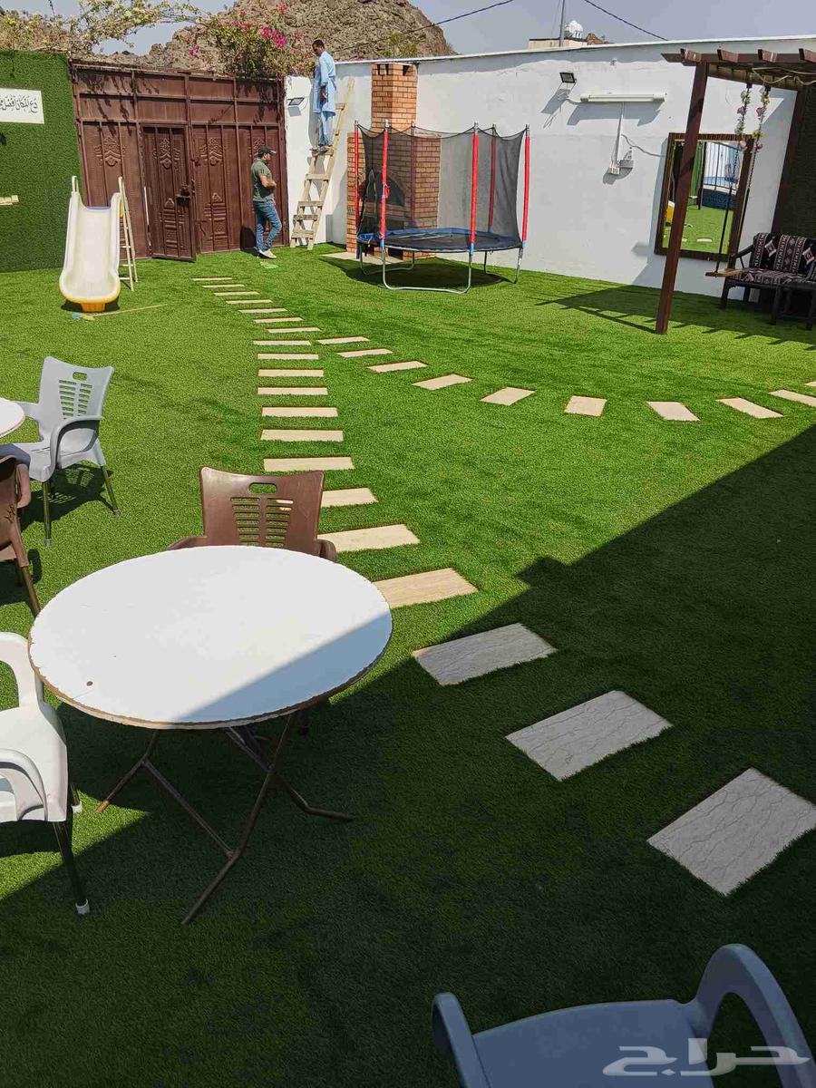 معليم نجيله صناعي ملاعب خدقه دكؤر خشب جداري داخلي خارجي64214347226497110