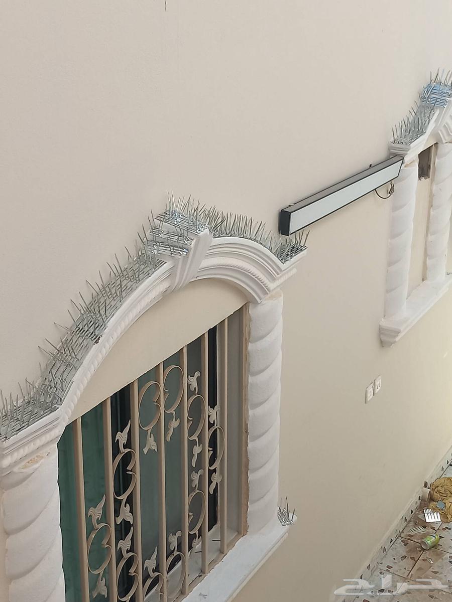 Pigeon Repellent Installation with Net and Spikes64214348232067113