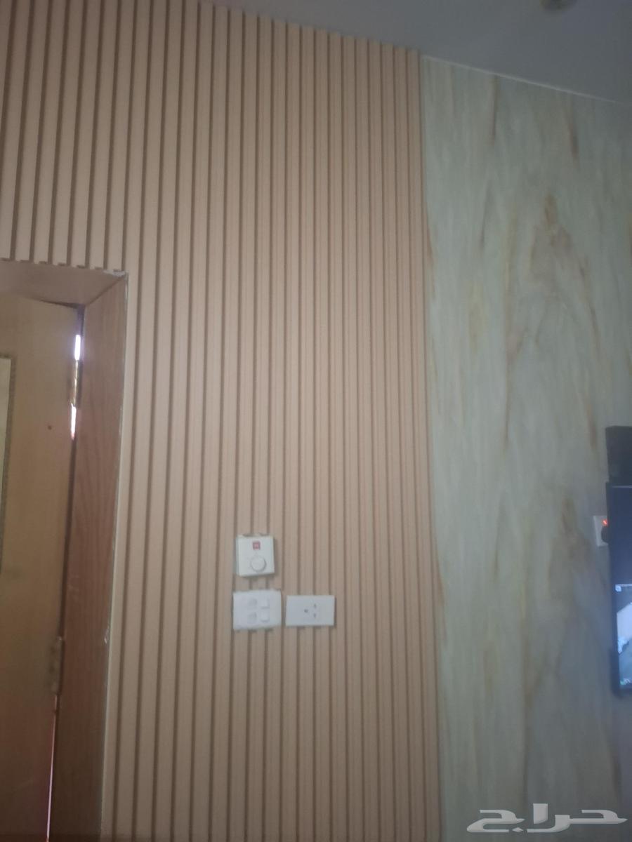 ديكورات داخليه64212868809858113