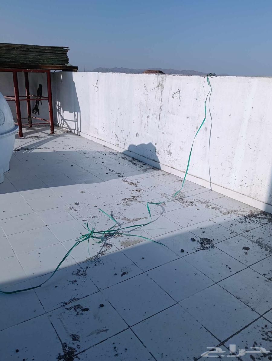 معلم دهانات بويات المدينه64214116856705111