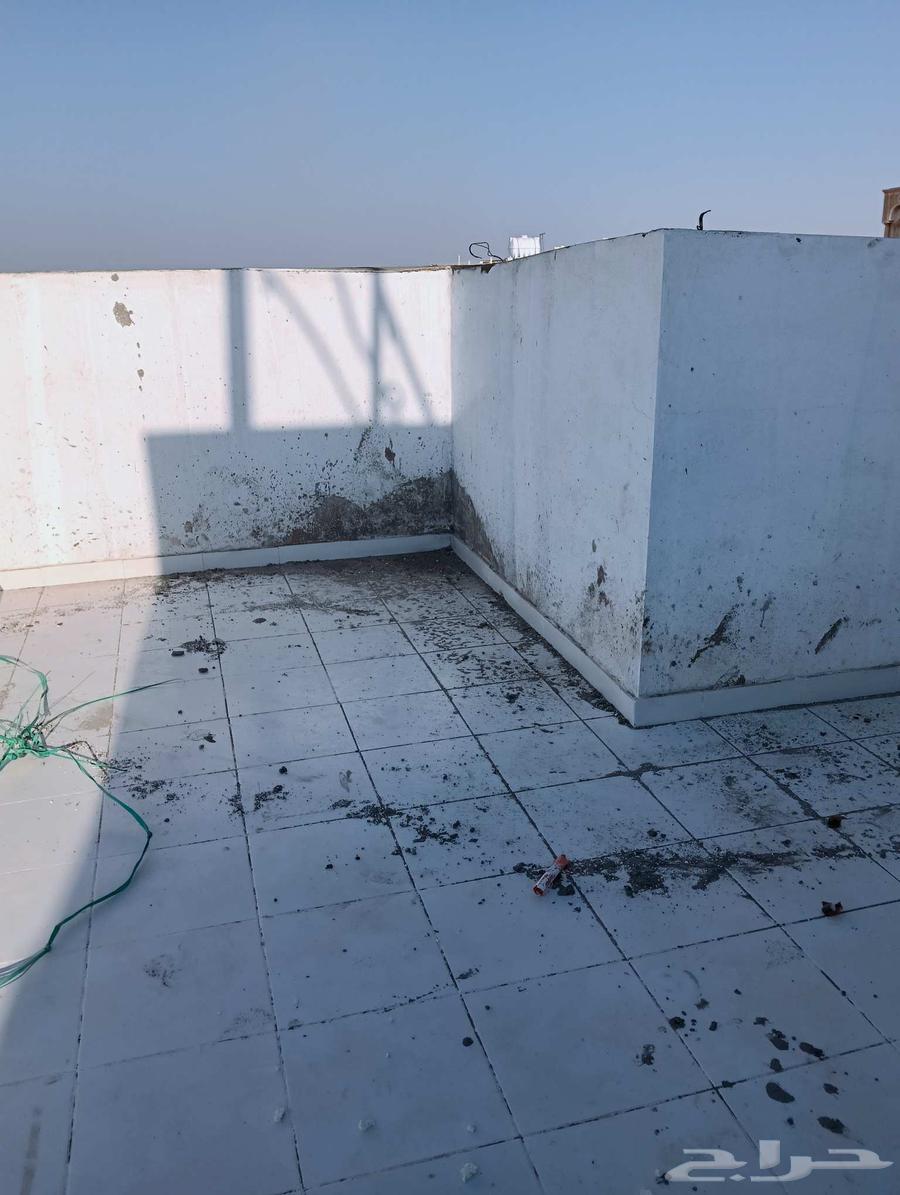 معلم دهانات بويات المدينه64214116856705112