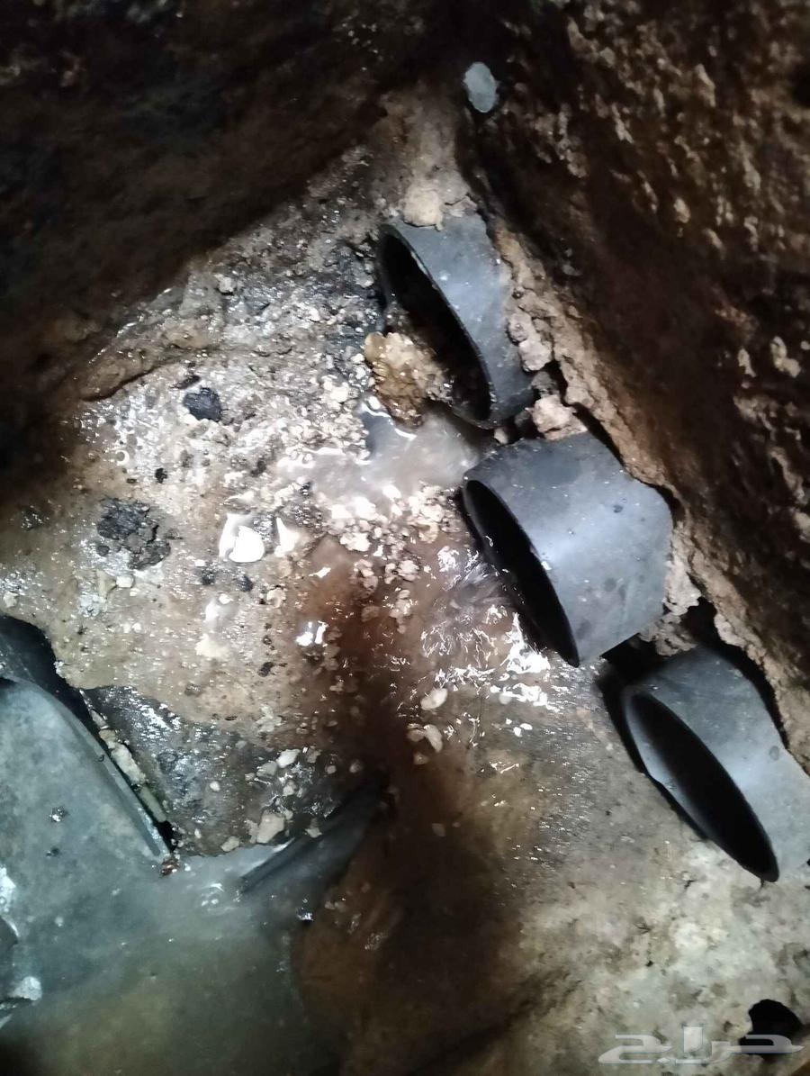 شركه تسليك مجاري تنظيف بيارت مكافحه حشرات بالرياض64213282423042112