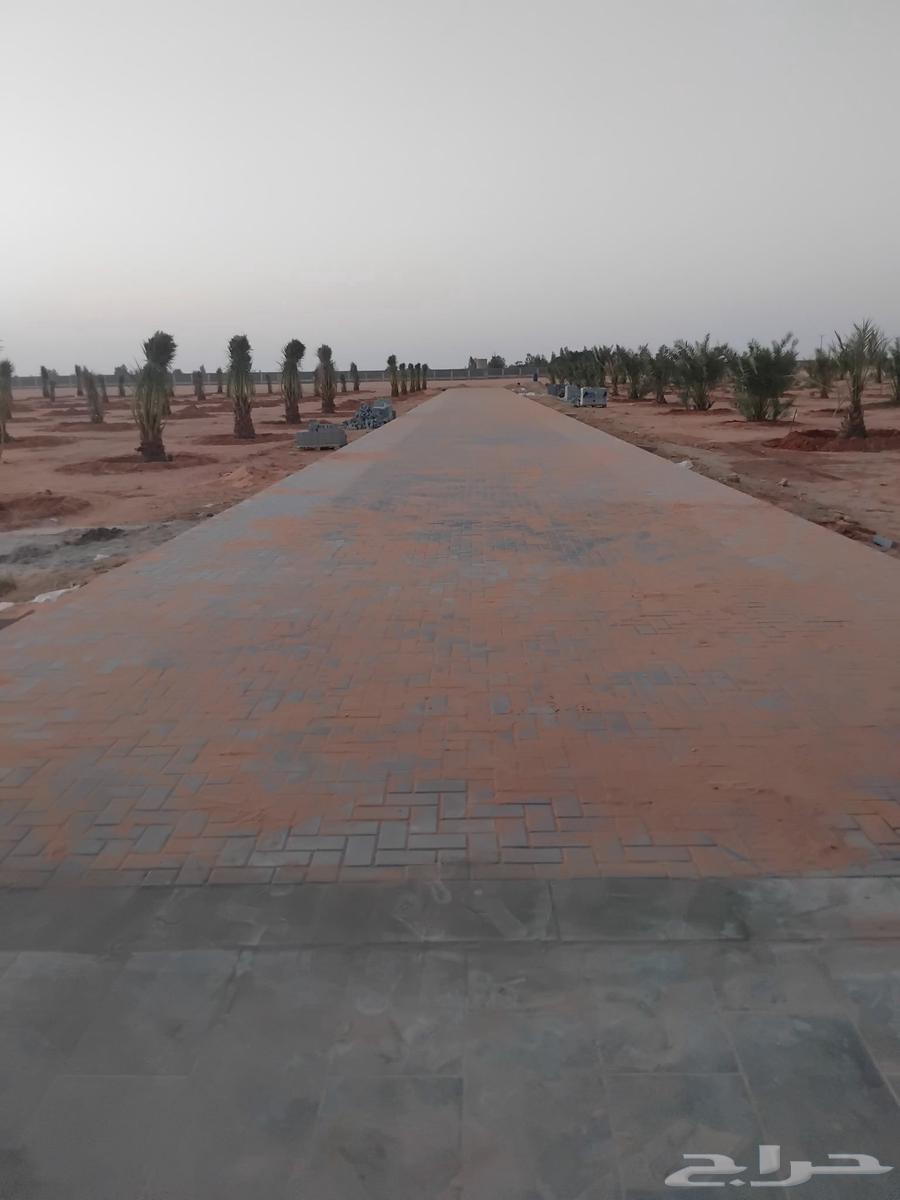 Interlock and paving installation. All types of paving64214114960258113