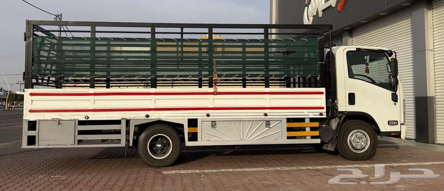 دينا شبك 5ونص للخدمات64214350170755110