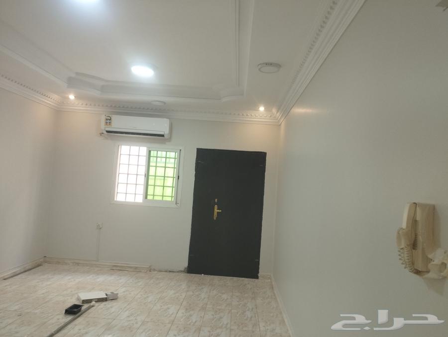 معلم دهانات الرياض64213284090497112