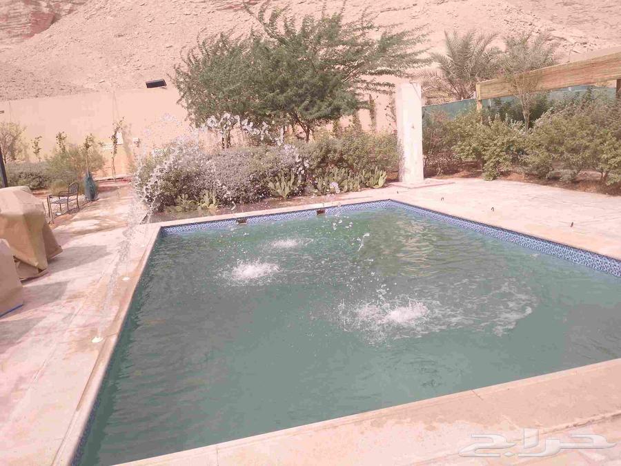 Maintenance, disassembly, installation, application, establishment of used swimming pools available64213915475201112