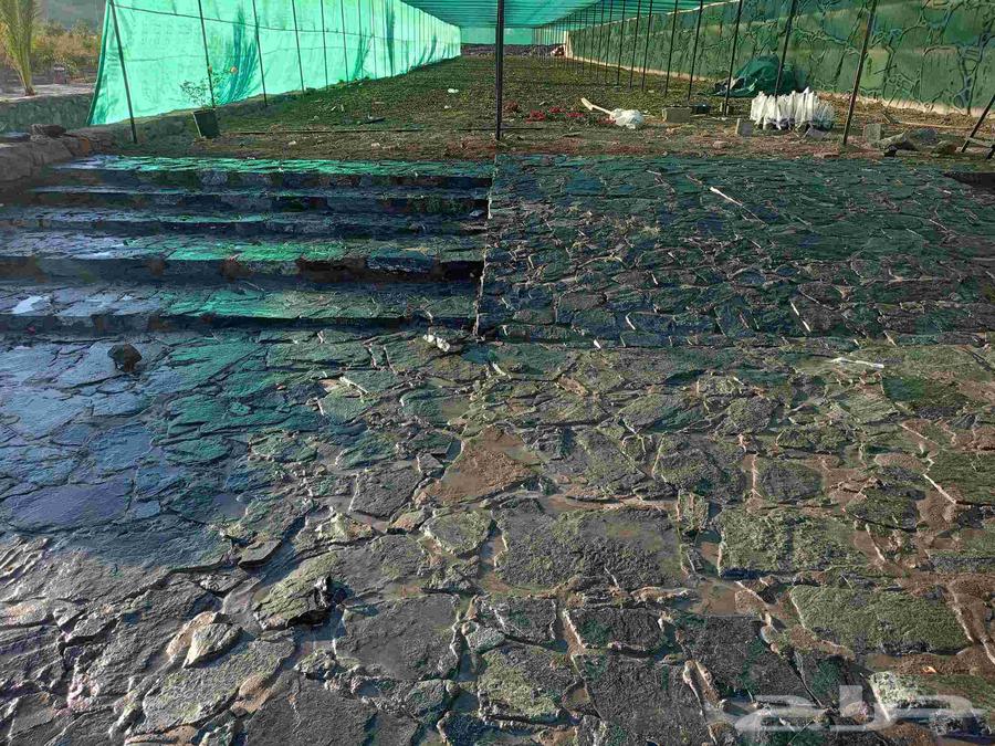 مقاول عام مباني حجر طبيعي64213060701953111