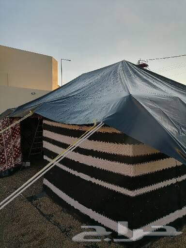 خيمة وبيوت الشعراء64213915376770114