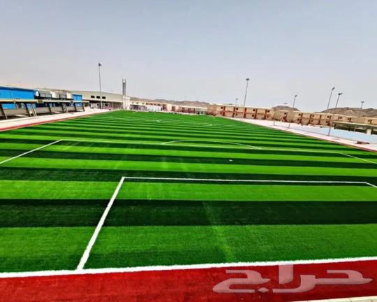 Supply and installation of football fields, artificial grass gardens, and rubber flooring64214117412226110