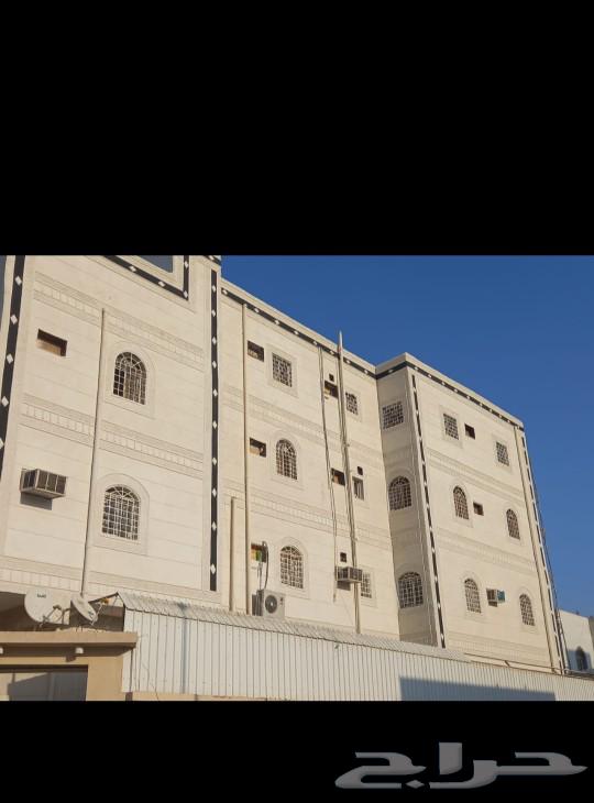 Colored plaster, an alternative to natural stone, achievement and excellence in work with a suitable price64213479235331114