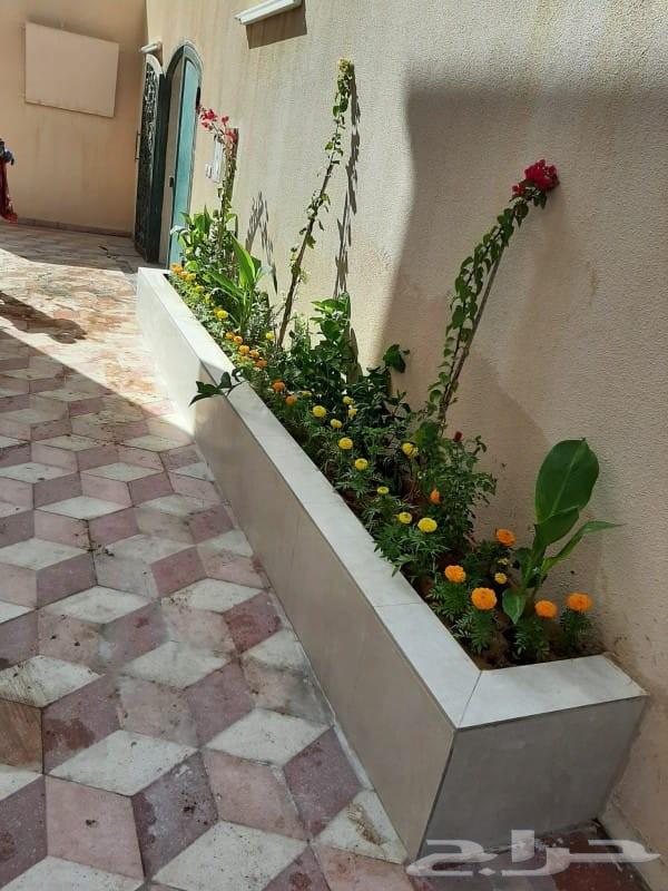 تنسيق حدائق المدينه المنوره واجوراها64216702222338112