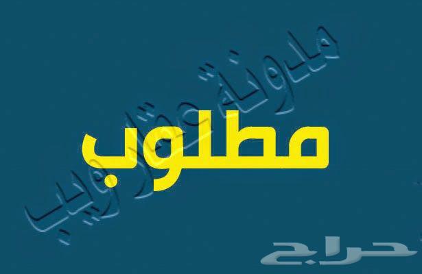 مطلوب من المالك أراضى بضاحية الجبيل64213695783170110