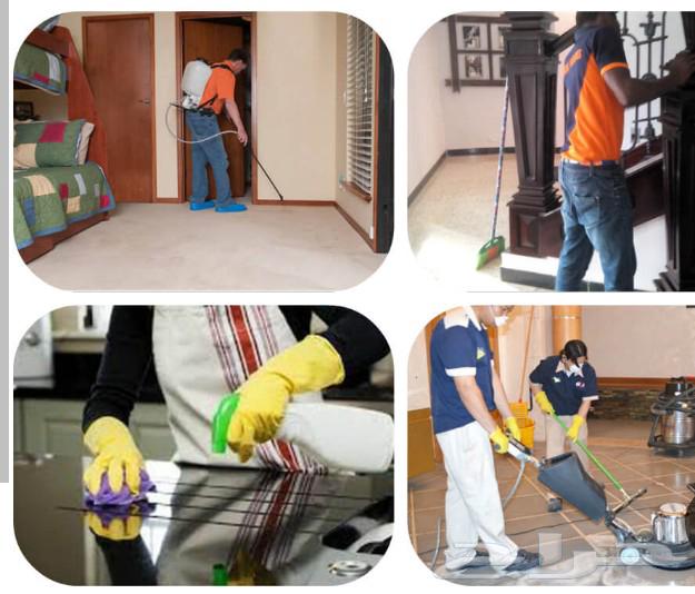 تنظيف منازل64212642886915114