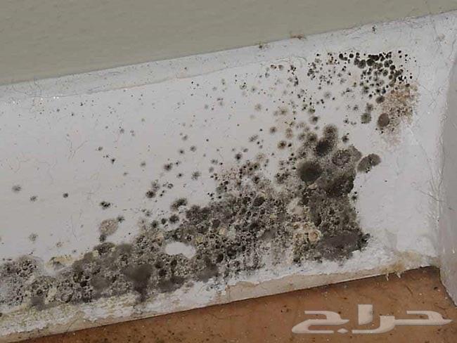 Water Leak Detection64216462965506110