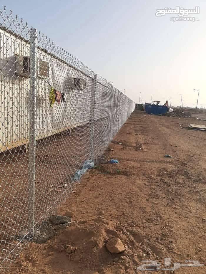 شبوك مجلفنه64213917743490114