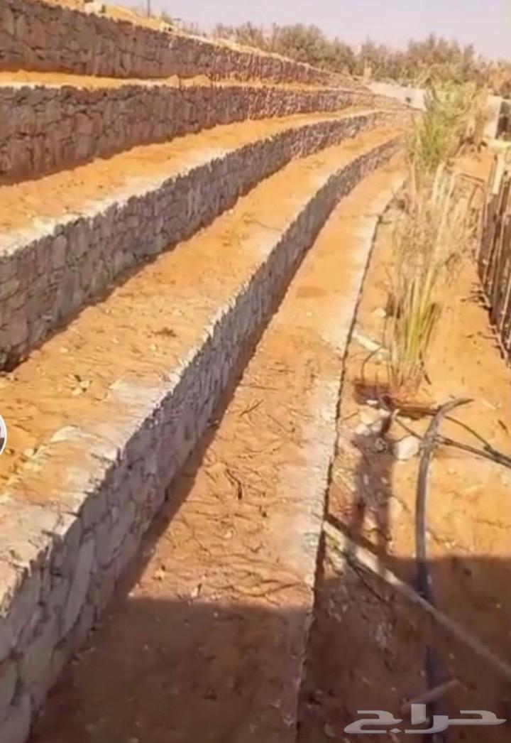 ابومحمد انشاء وترميم بيوت الطين التراثيه64214574648961113