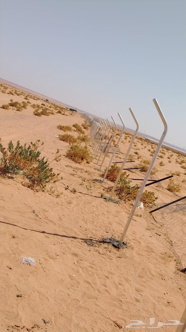 شبوك وسياجات شبك وتشبيك64213482280706111