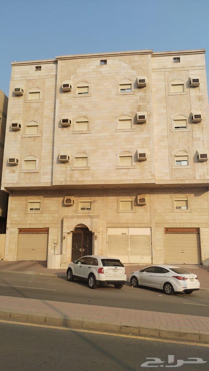 شقة للإيجار