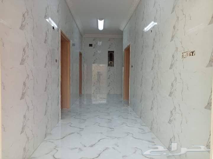 مبلط سيراميك وسباكه الدقه والسرعه ارخص الاسعار64213059776258114