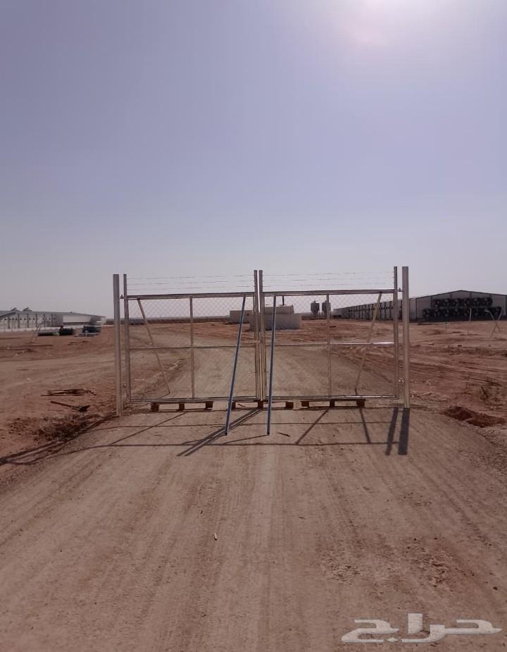 توريد وتركيب شبوك وأسوار64213917571713113