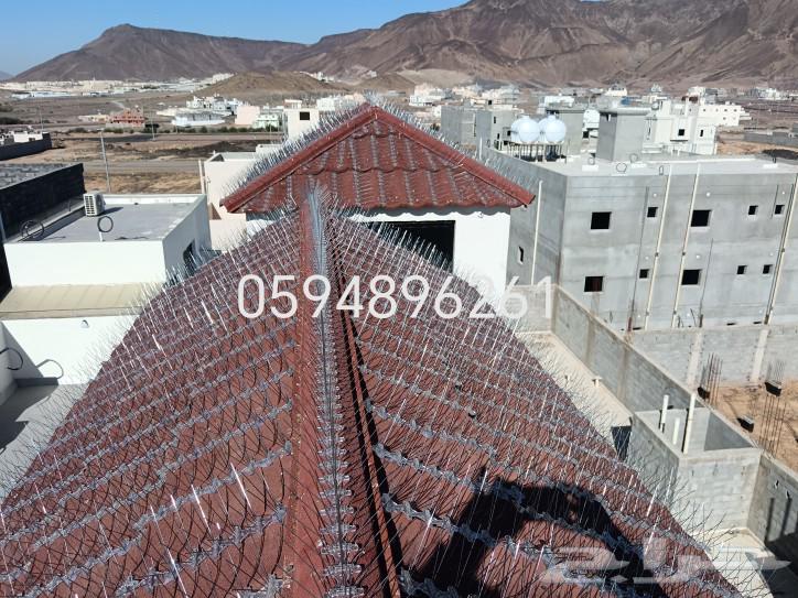 Shawk Bird Repellent64216702894338112