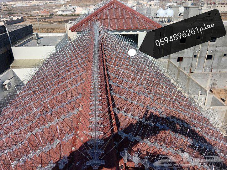 Shawk Bird Repellent64216702894338110