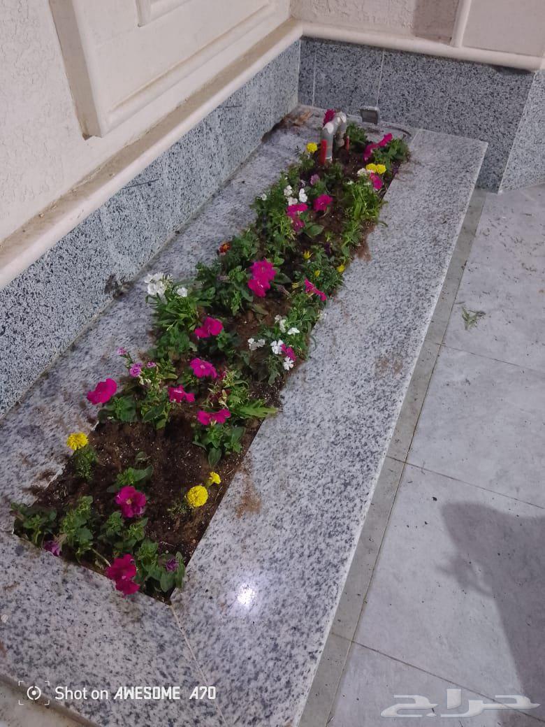 Landscape coordination and opinion network64214117788675113