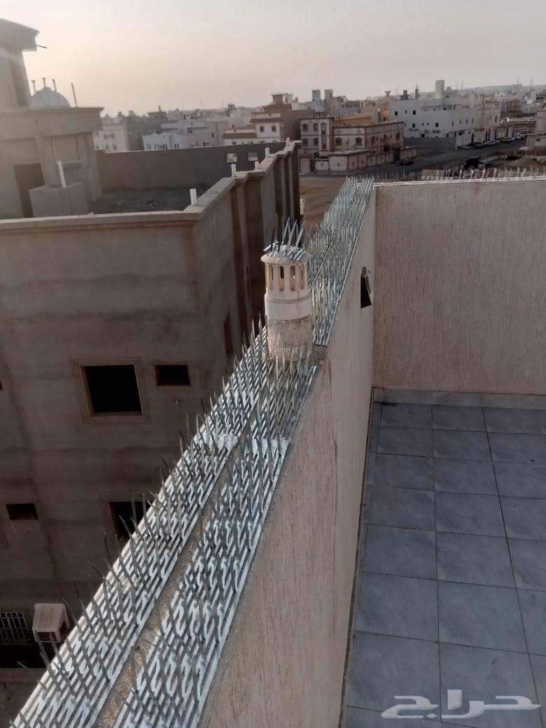 Installing pigeon and other bird cages64214117755521110