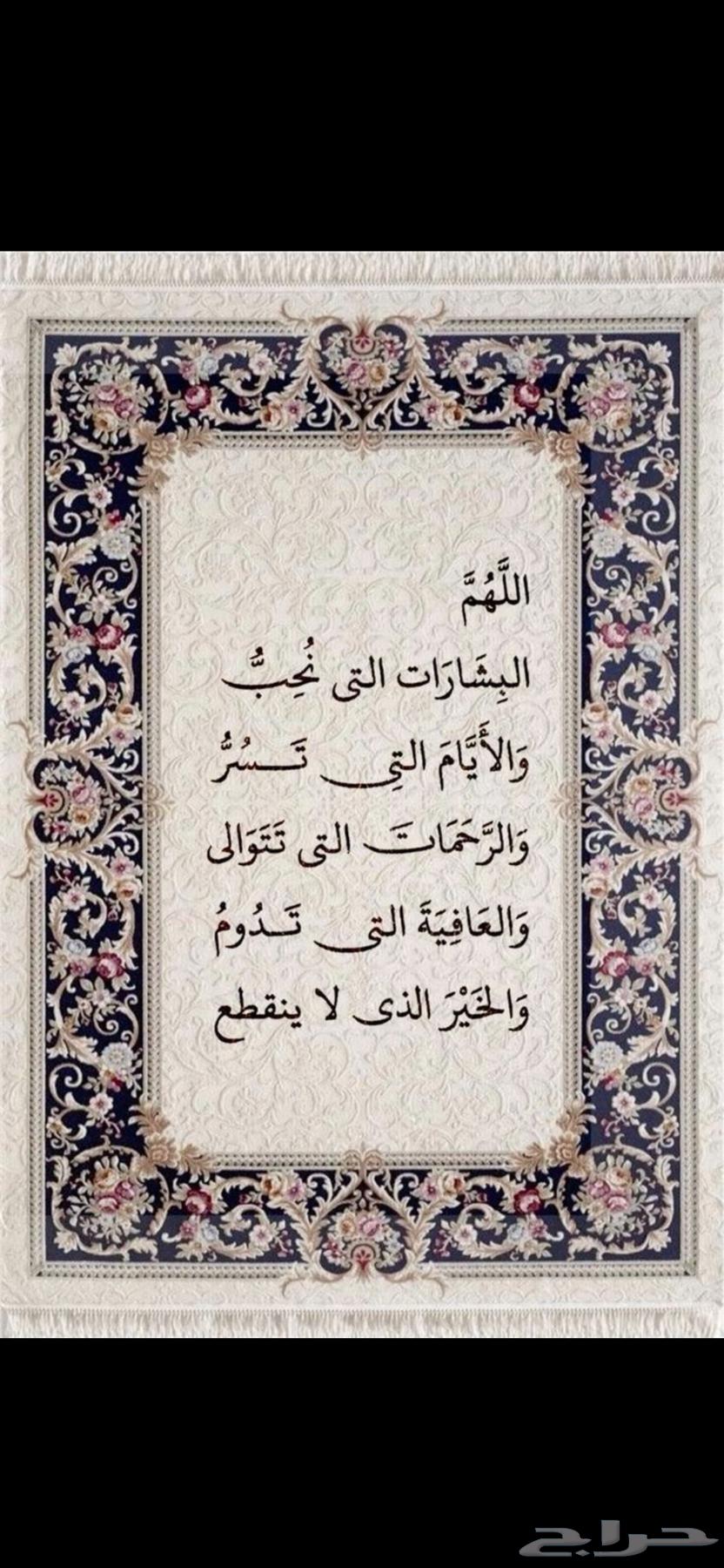 مطلوب شقه للايجار مفروشه64216693863427110