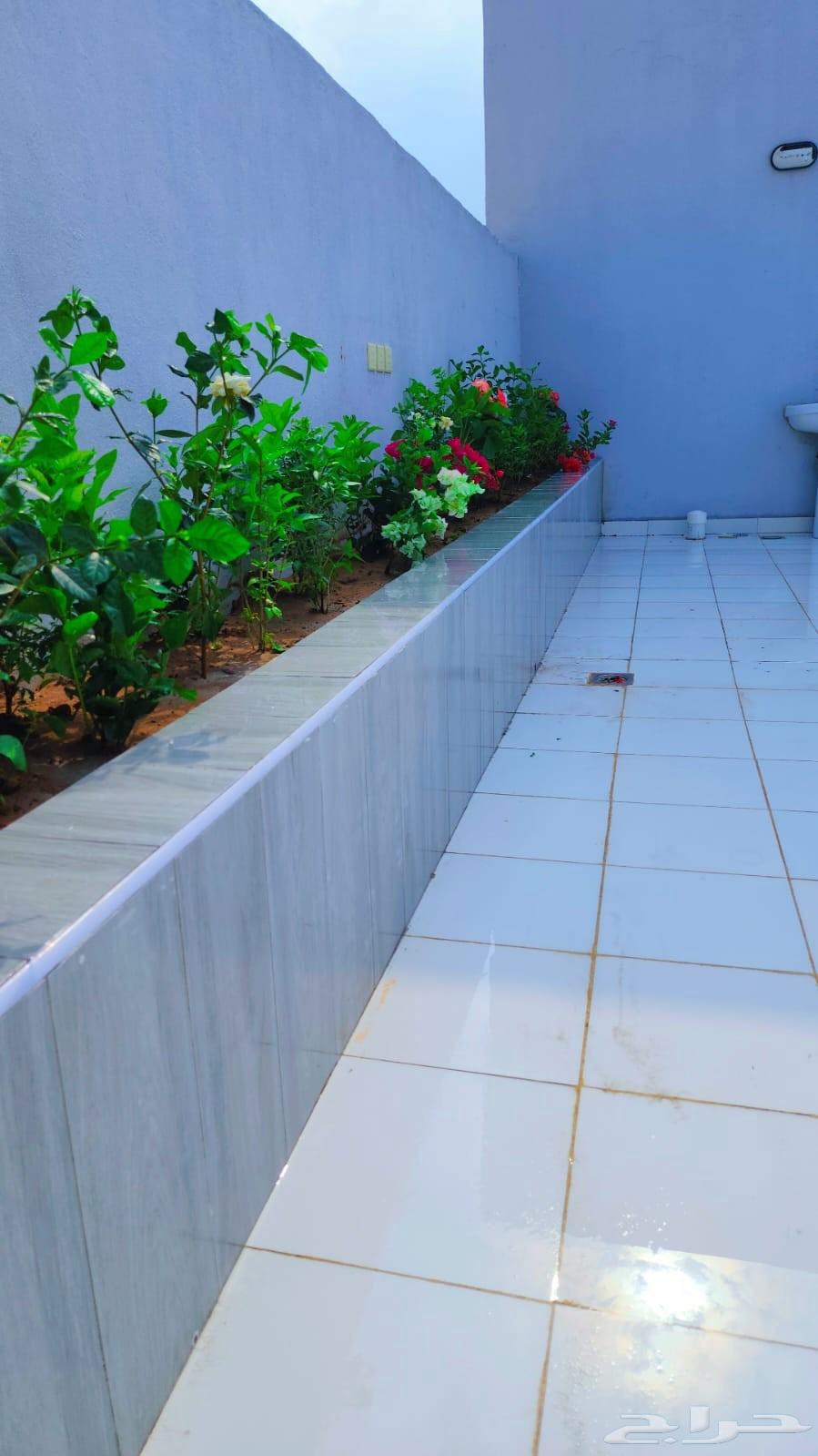 منسق حدائق شلالات نوافير أحواض زارع طبيعي64216462709635114