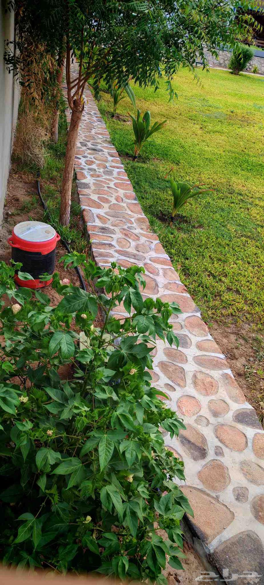 Random stone expert for all types of stone64212035253379114