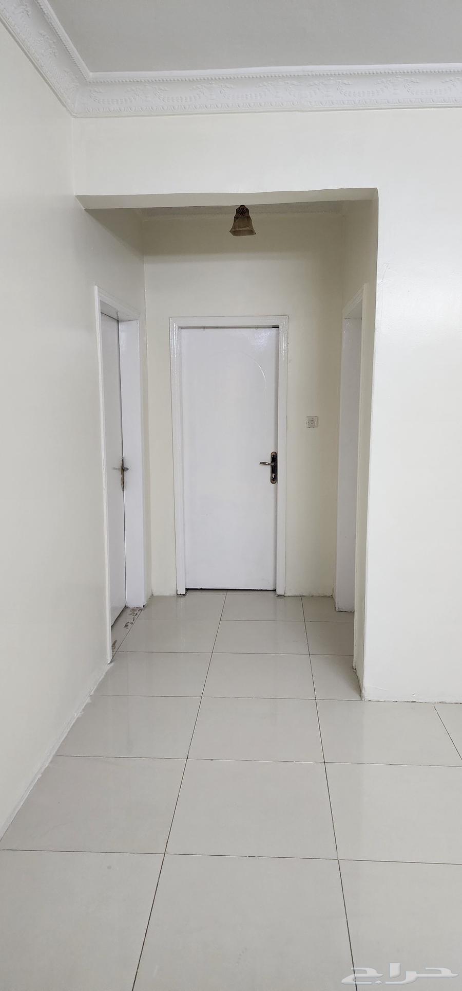 معلم بويات جدران داخلي وخراجي64213697982338113