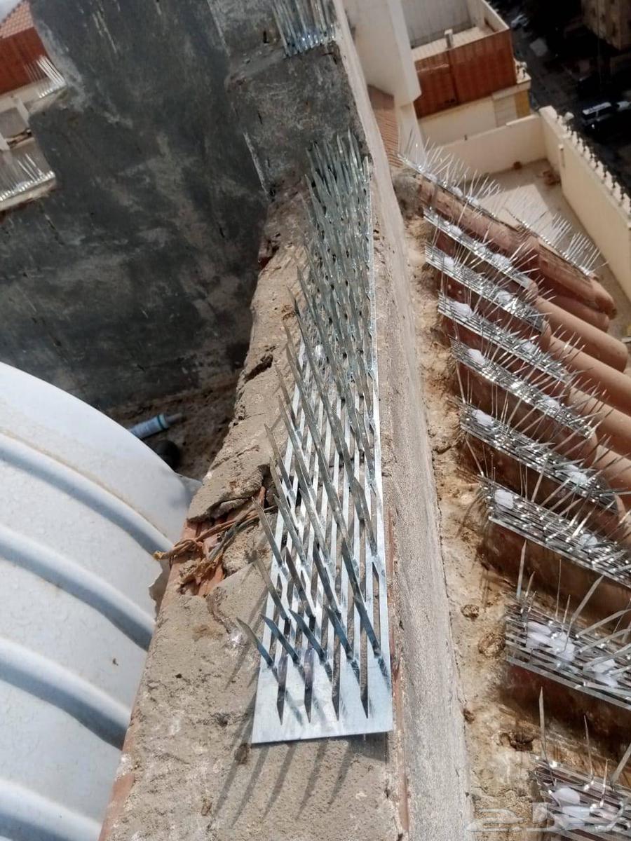 Installing pigeon and other bird cages64214117755521112