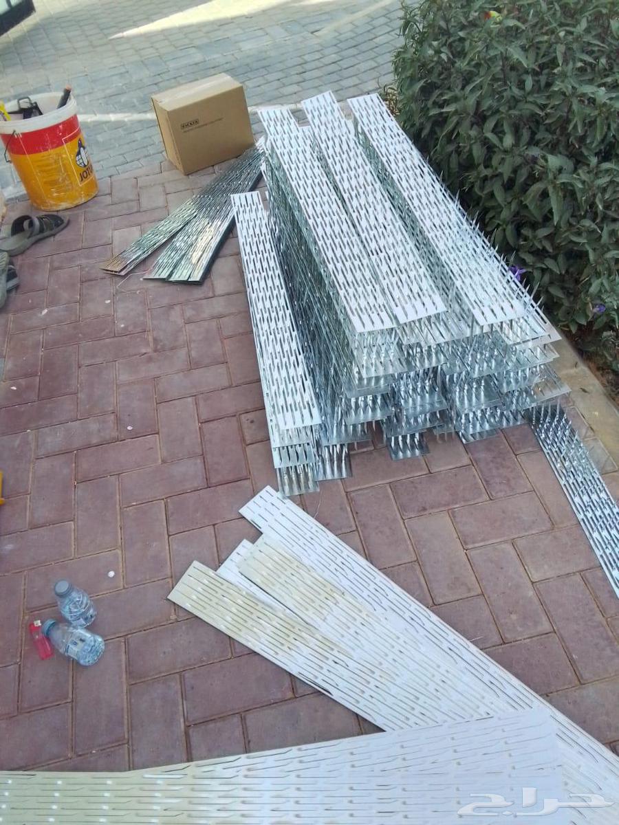 Pigeon Repellent Installation with Net and Spikes64214348232067114