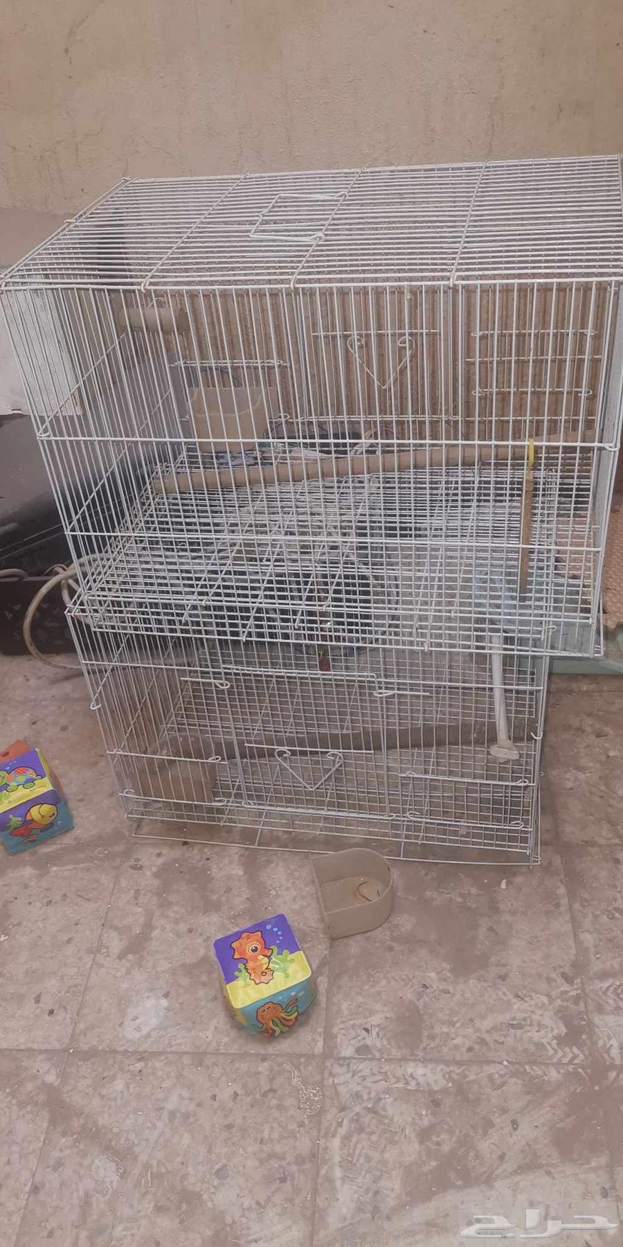 Cages and Stand64212864798593110