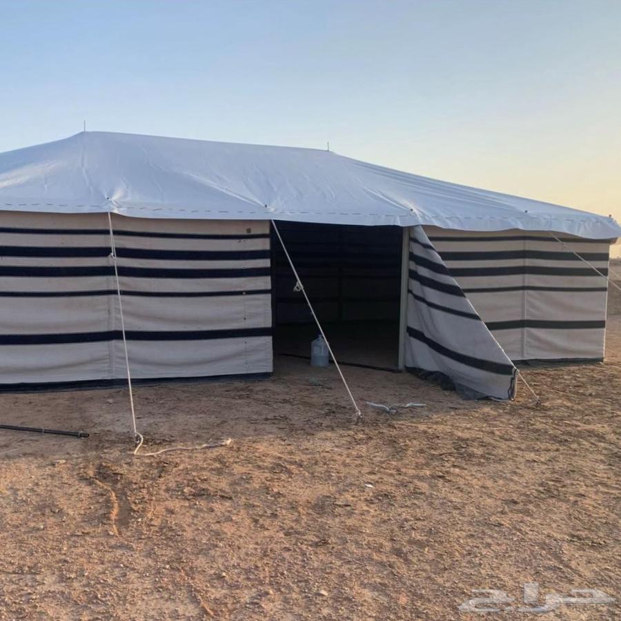 بناء بيوت شعر64217879807874112