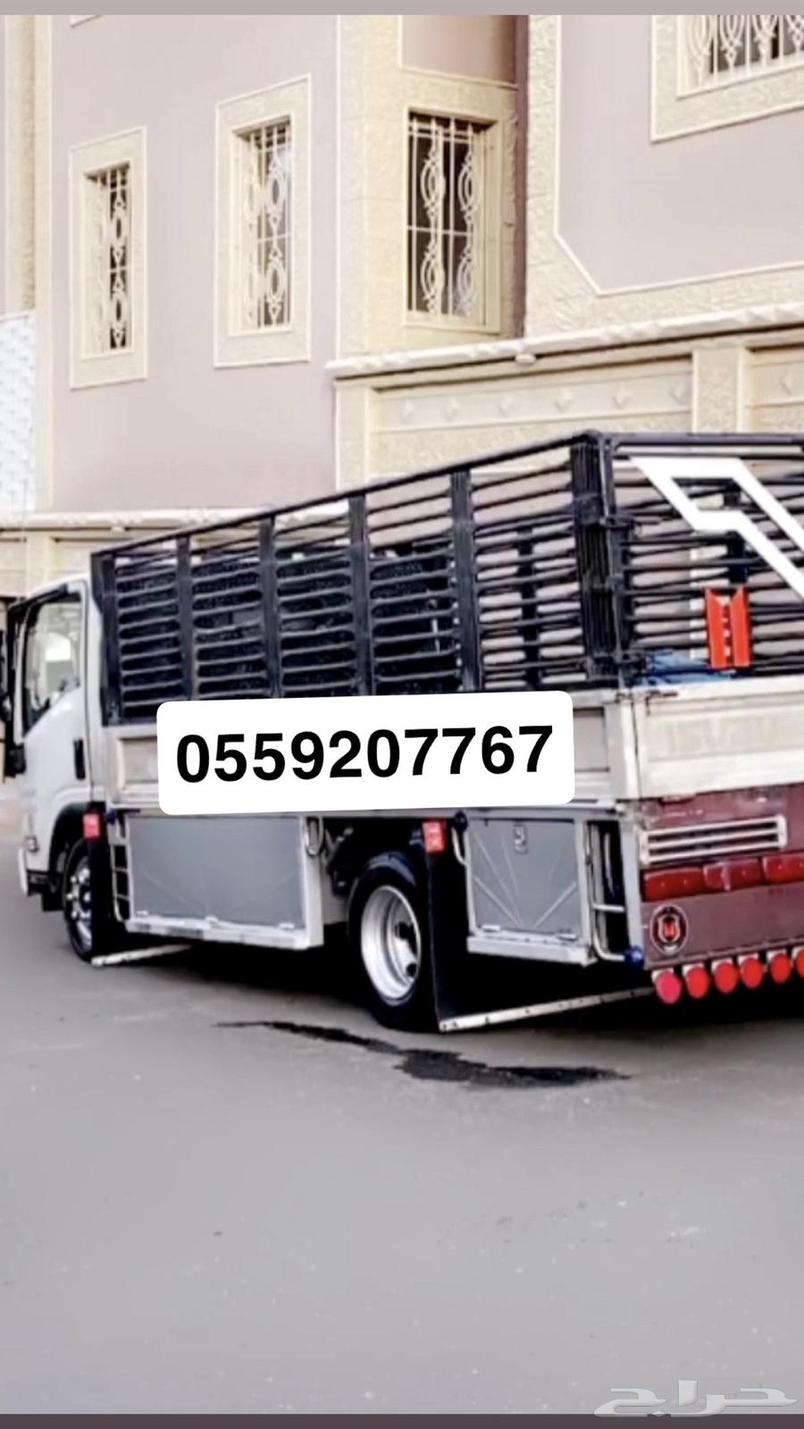 دينه الرياض دينا نقل عفش دنه خارج وداخل الرياض64216706075777110