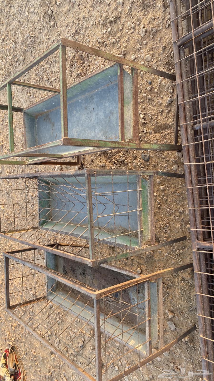 شبوك معالف64225273174787112