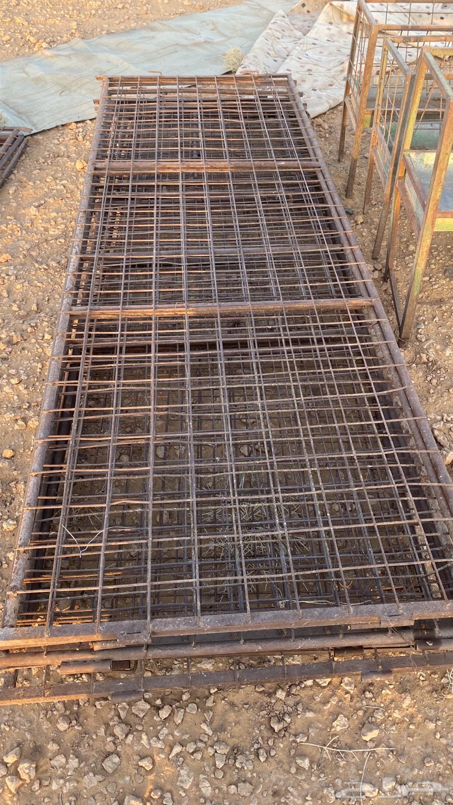 شبوك معالف64225273174787110