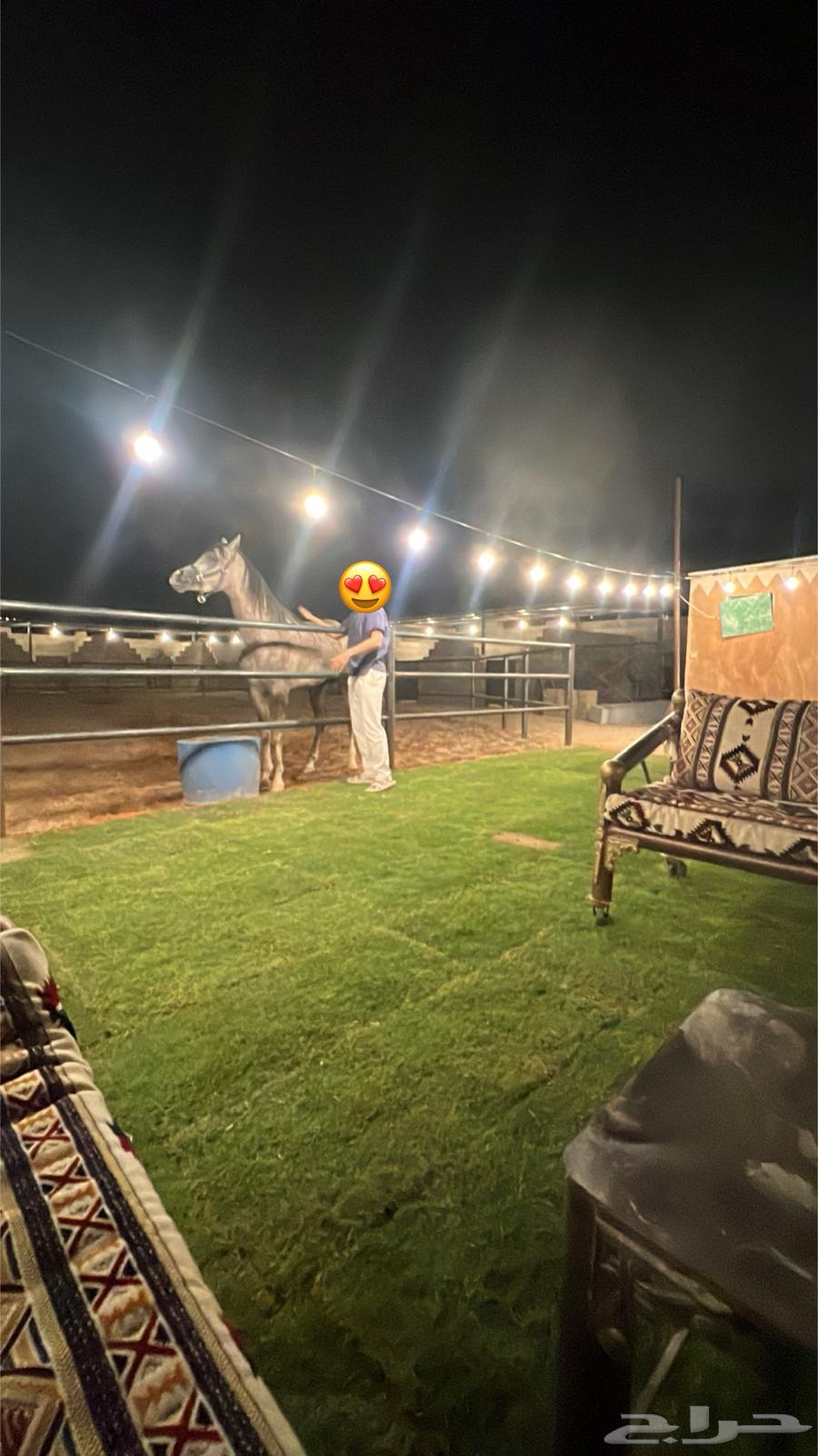 شاليه واسطبل للايجار اليومي64217161017986110