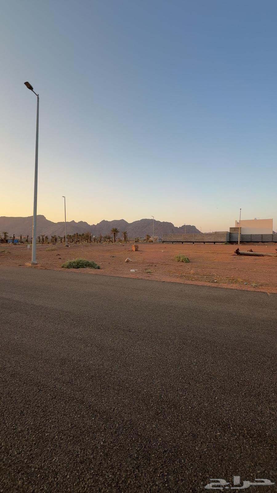 للبيع ارض بمخطط الغدير بالودي خلف محطة المشعان بسعر مميز64225263000321113